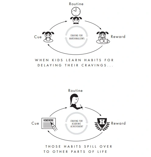The Power of Habit 3
